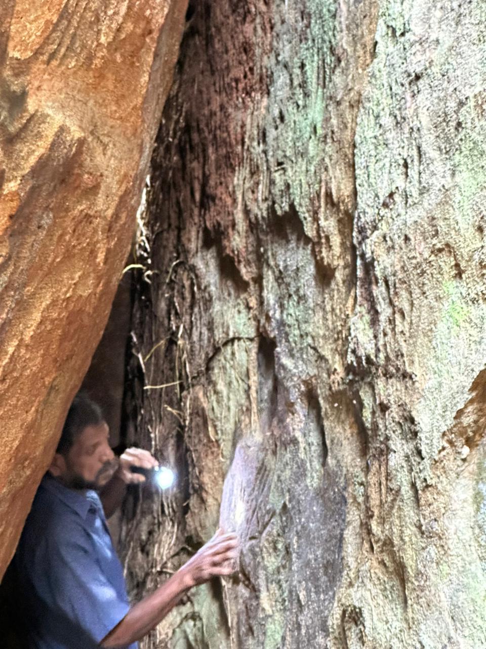 Danigala Gallery Image